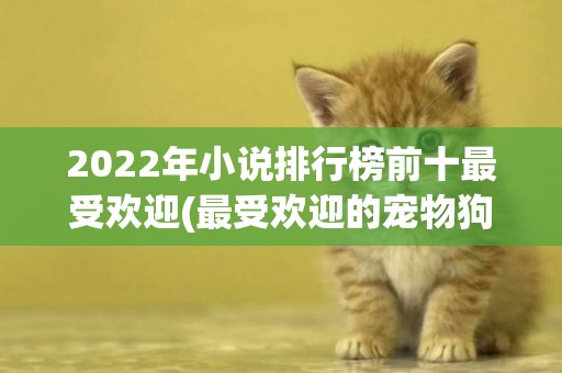 2022年小说排行榜前十最受欢迎(最受欢迎的宠物狗排行榜) 