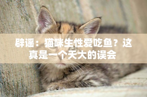 辟谣：猫咪生性爱吃鱼？这真是一个天大的误会 