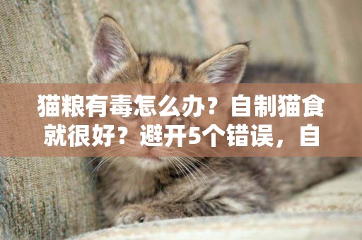 猫粮有毒怎么办？自制猫食就很好？避开5个错误，自制粮真的很好 