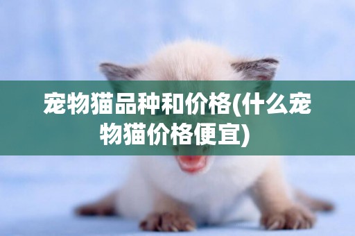 宠物猫品种和价格(什么宠物猫价格便宜) 