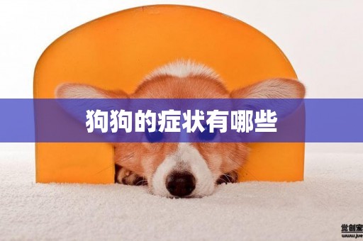 狗狗的症状有哪些