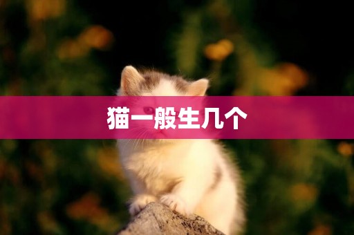 猫一般生几个