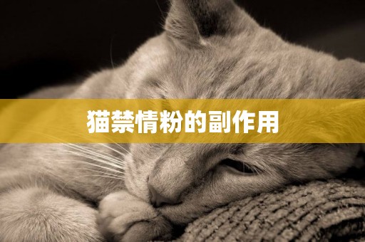 猫禁情粉的副作用