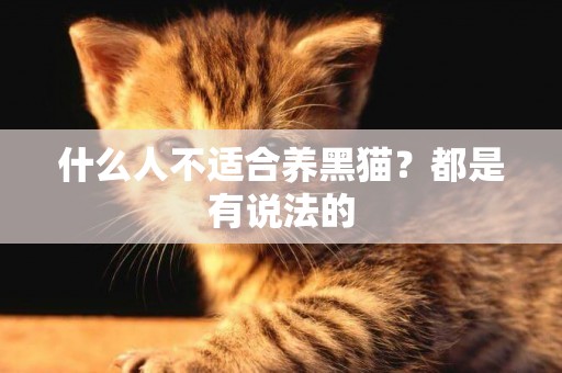 什么人不适合养黑猫？都是有说法的