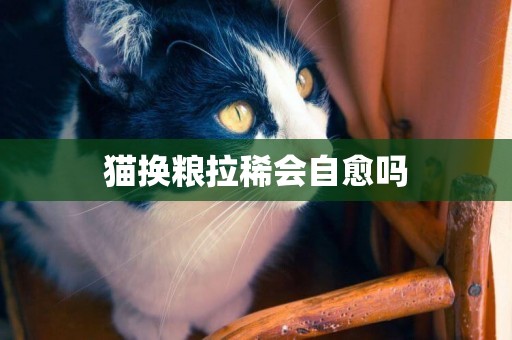 猫换粮拉稀会自愈吗