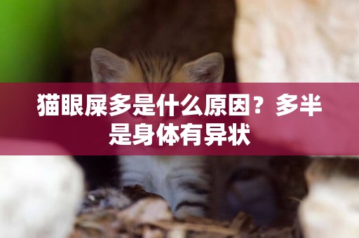 猫眼屎多是什么原因？多半是身体有异状