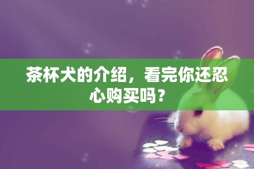 茶杯犬的介绍，看完你还忍心购买吗？