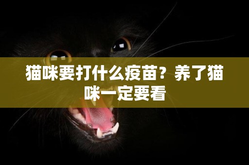 猫咪要打什么疫苗？养了猫咪一定要看