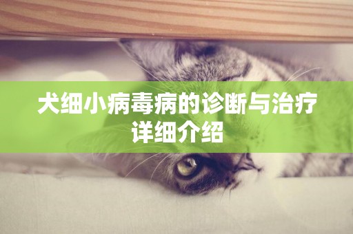 犬细小病毒PPT图片