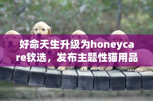 好命天生升级为honeycare钦选，发布主题性猫用品