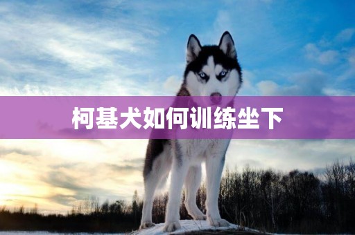 柯基犬如何训练坐下