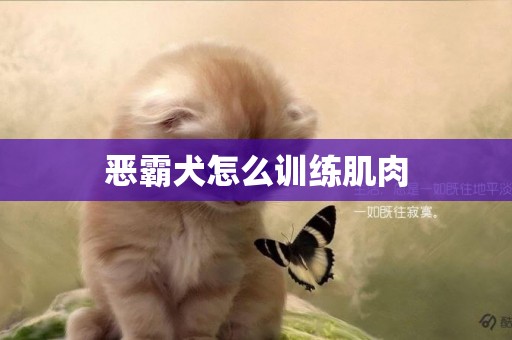 恶霸犬怎么训练肌肉