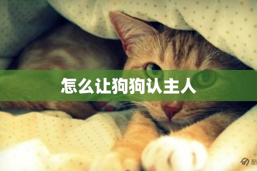 怎么让狗狗认主人