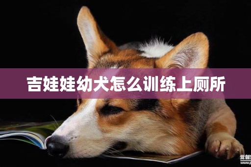 吉娃娃幼犬怎么训练上厕所