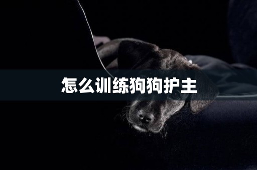 怎么训练狗狗护主