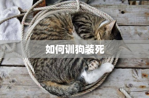 如何训狗装死