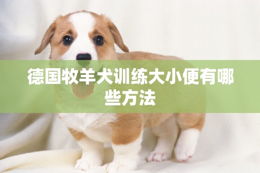 德国牧羊犬训练大小便有哪些方法