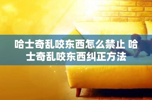 哈士奇乱咬东西怎么禁止 哈士奇乱咬东西纠正方法