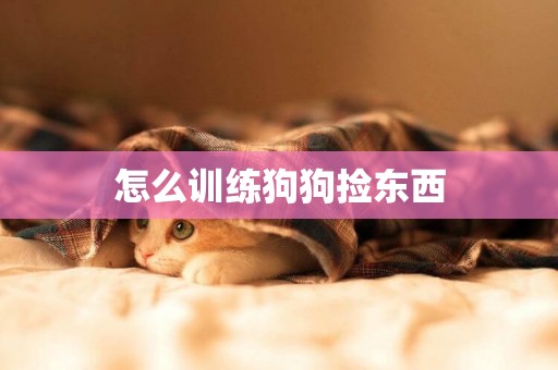 怎么训练狗狗捡东西