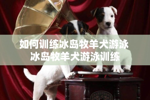 如何训练冰岛牧羊犬游泳 冰岛牧羊犬游泳训练